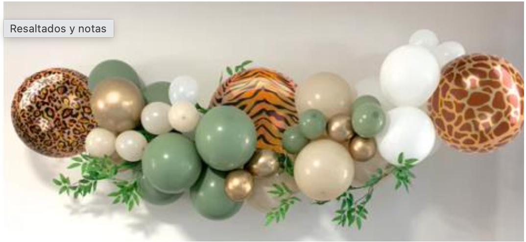 Globo Orbz Safari Anagram/Convergram